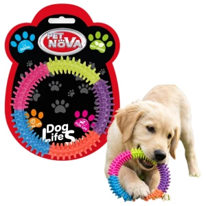 Ringo Zabawka dla Psa Kolorowe 15cm Miętowe