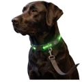 DF Nylonowa Solidna Obroża Podświetlana LED dla Psa S/M 35-50cm 19mm ZIELONA