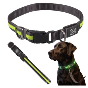 DF Nylonowa Solidna Obroża Podświetlana LED dla Psa S/M 35-50cm 19mm ZIELONA