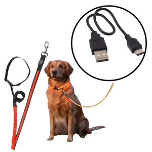 DF Nylonowa Solidna Smycz Podświetlana LED z Amortyzatorem do Biegania dla Psa 180-250cm 25mm POMARAŃCZOWA