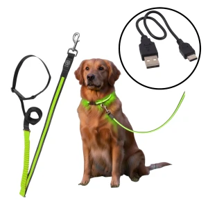 DF Nylonowa Solidna Smycz Podświetlana LED z Amortyzatorem do Biegania dla Psa 180-250cm 25mm ZIELONA