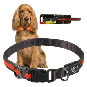 DF Nylonowa Solidna Obroża Podświetlana LED dla Psa S/M 35-50cm 19mm POMARAŃCZOWA