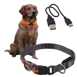 DF Nylonowa Solidna Obroża Podświetlana LED dla Psa M/L 45-65cm 25mm POMARAŃCZOWA