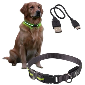 DF Nylonowa Solidna Obroża Podświetlana LED dla Psa M/L 45-65cm 25mm ZIELONA