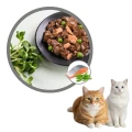 Savory Mokra Karma dla Kota Dorosłego POUCH SALMON&amp;PEAS Łosoś z Groszkiem Saszetka 85g
