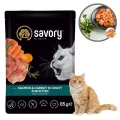 Savory Mokra Karma dla Kociąt POUCH SALMON&amp;CARROT Łosoś z Marchewką Saszetka 85g