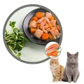 Savory Mokra Karma dla Kociąt POUCH SALMON&amp;CARROT Łosoś z Marchewką Saszetka 85g