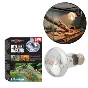 Repti PLANET Daylight Basking Żarówka Do Terrarium 75W