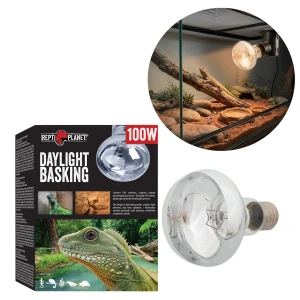 Repti PLANET Daylight Basking Żarówka Do Terrarium 100W