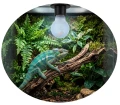 Repti PLANET Daylight Neodymium Żarówka Do Terrarium 25W