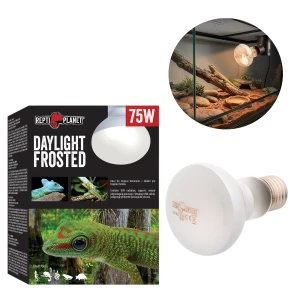Repti PLANET Daylight Frosted Żarówka Do Terrarium 75W