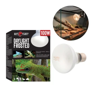 Repti PLANET Daylight Frosted Żarówka Do Terrarium 100W