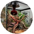 Repti PLANET Infrared Heat Żarówka Do Terrarium 25W