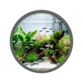 Seachem Pristine Odmulacz w Płynie 250ml