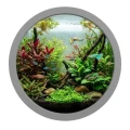 Tetra AlguMin Plus zwalcza glony 500ml na 2000l