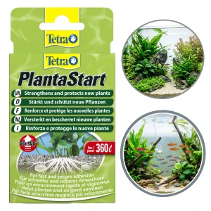 Tetra Plantastart 12 tabletek Na Wzrost Roślin w Akwarium