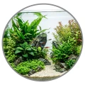 poprawionaduża40.pngTetra Feeding Ring FR6 Karmnik Plastikowy Pływający Okrągły 6cm