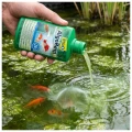 TETRA POND AlgoRem 500 ml Preparat na ZIELONĄ WODĘ