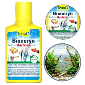 Tetra Biocoryn Bakteria Oczyszcza Środek do Zwalczania Szkodliwych Składników w Akwarium 100ml