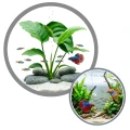 Tetra AlguMin Plus Zwalcza Glony 1000ml na 4000l