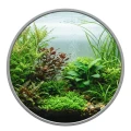 TROPICAL ALGIN 100ML Antyglon Preparat Na Glony Zielone