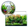 TROPICAL ALGIN 30ML Antyglon Preparat Na Glony Zielone