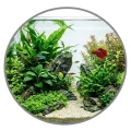 TROPICAL AQUA PLANT 100ml - Odżywka Nawóz Dla Roślin Akwariowych