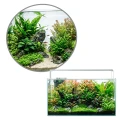 TROPICAL AQUACID pH MINUS 30ml - Obniża pH / KH Wody w Akwarium