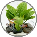 TROPICAL AQUAFLORIN POTASSIUM 100ml Nawóz Potas K Do Akwarium