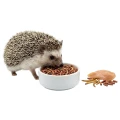 TROPICAL ATELERIX POKARM DLA JEŻY 3L/1KG 53186