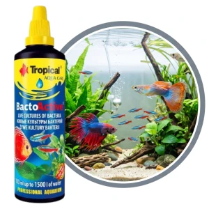 TROPICAL BACTO ACTIVE 100ML 34304