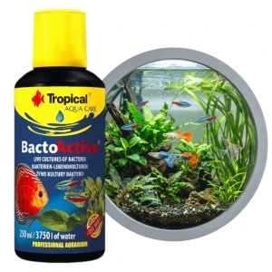 TROPICAL BACTO ACTIVE 250ML 34305