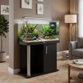 Szafka pod Akwarium Proste Comfort 80x35x67cm Czarna
