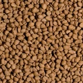 Tropical KOI PROBIOTIC PELLET SIZE S 1000ml pokarm wspomaga zdrowie i odporność