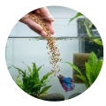 TETRA POND VARIETY STICKS 10L Mix pokarmów