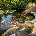 Tropical Pond Pellet Mix Size M 5l - pokarm dla ryb hodowanych w oczku wodnym