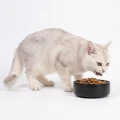 Karma Dla Kota Ontario Cat Hair Skin 6,5kg Zdrowa Skóra Lśniąca Sierść