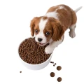 Ambrosia GF Puppy Growth Kurczak Ryba 6kg Karma Bezzbożowa Bogata W Białko