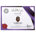 Karma Ambrosia GF CAT STERILISED SALMON CHICKEN 5KG Bezzbożowa Karma Dla Kota  Łosoś Kurczak