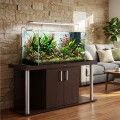 Szafka pod Akwarium Proste Comfort 160x60x67cm Wenge