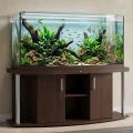 Szafka pod Akwarium Profilowane Owalne Comfort 200x60x67cm Wenge