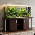 Szafka pod Akwarium Profilowane Owalne Comfort 200x80x67cm Wenge