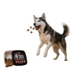ALPHA SPIRIT Karma Półwilgotna dla Psów Multiprotein Treserki Smaczki 200g