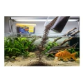 Tropical STERLET SIZE M 3l/1,5kg - pokarm dla jesiotrów