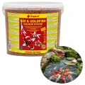 Tropical KOI&amp;GOLDFISH COLOUR STICKS 5l/430g - pokarm dla ryb hodowanych w oczku wodnym