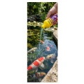TROPICAL ICHTIO POND 250ml - preparat dla prawidłowego rozwoju i zdrowia ryb w oczkach wodnych