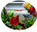 TROPICAL BETTA 100ml - Pokarm Płatki Dla Bojowników