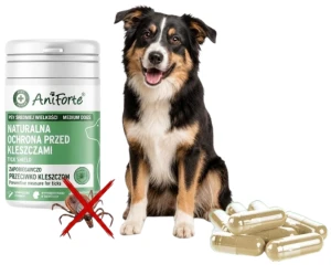 Naturalne Tabletki Dla Dużego Psa AniForte  Wsparcie Ochrony Przed Kleszczami 60 sztuk