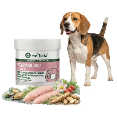 AniForte Zdrowy Przysmak Dla Psa 4w1 Stawy Odporność Skóra 50g