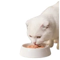 Kattovit Urinary PAKIET 12x85g Karma Mokra dla Kotów Na Układ Moczowy MIX SMAKÓW